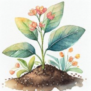 Bloom Box