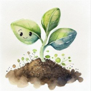 Sprout Box